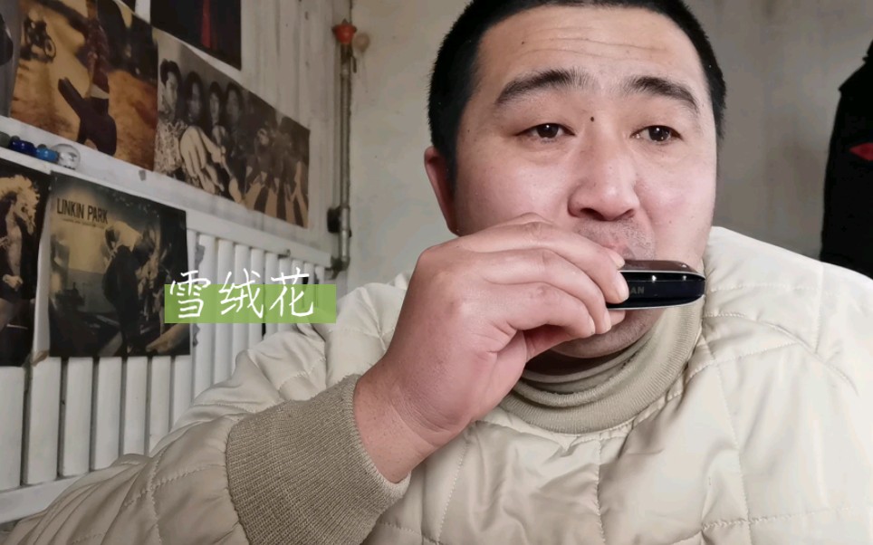 手下口琴独奏视频教学下载_(手下口琴独奏视频教学下载免费)