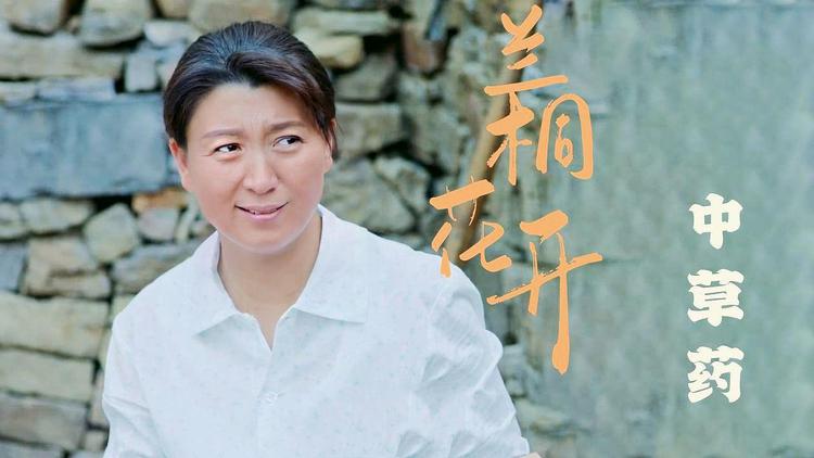 到底谁挣钱了原版视频下载-(到底谁挣钱了原版视频下载免费)