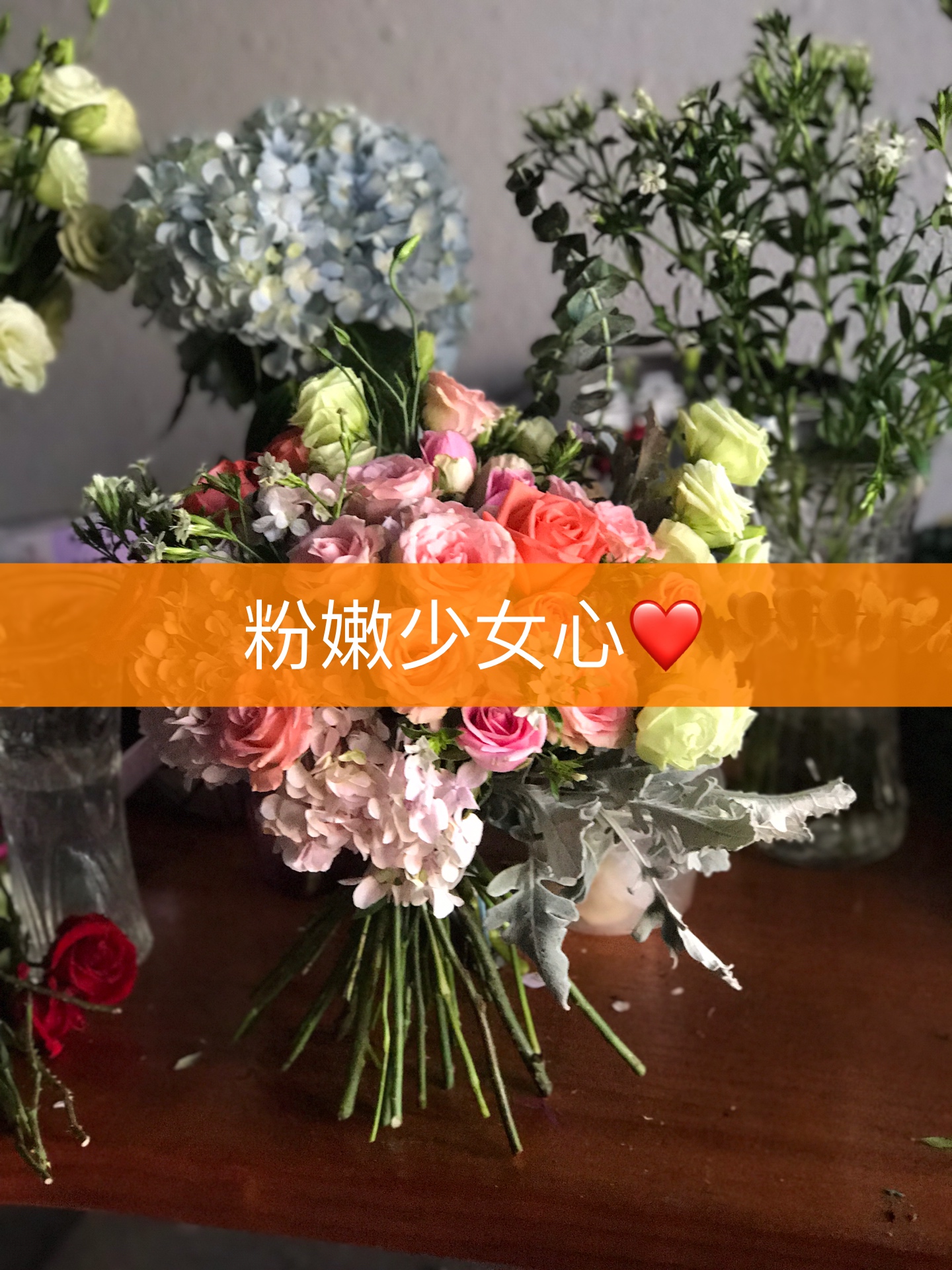 鲜花培育直播视频教程下载(鲜花培育直播视频教程下载免费)