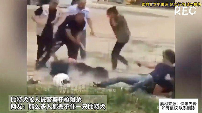 疯狗咬人视频素材下载网站-(疯狗咬人视频素材下载网站大全)