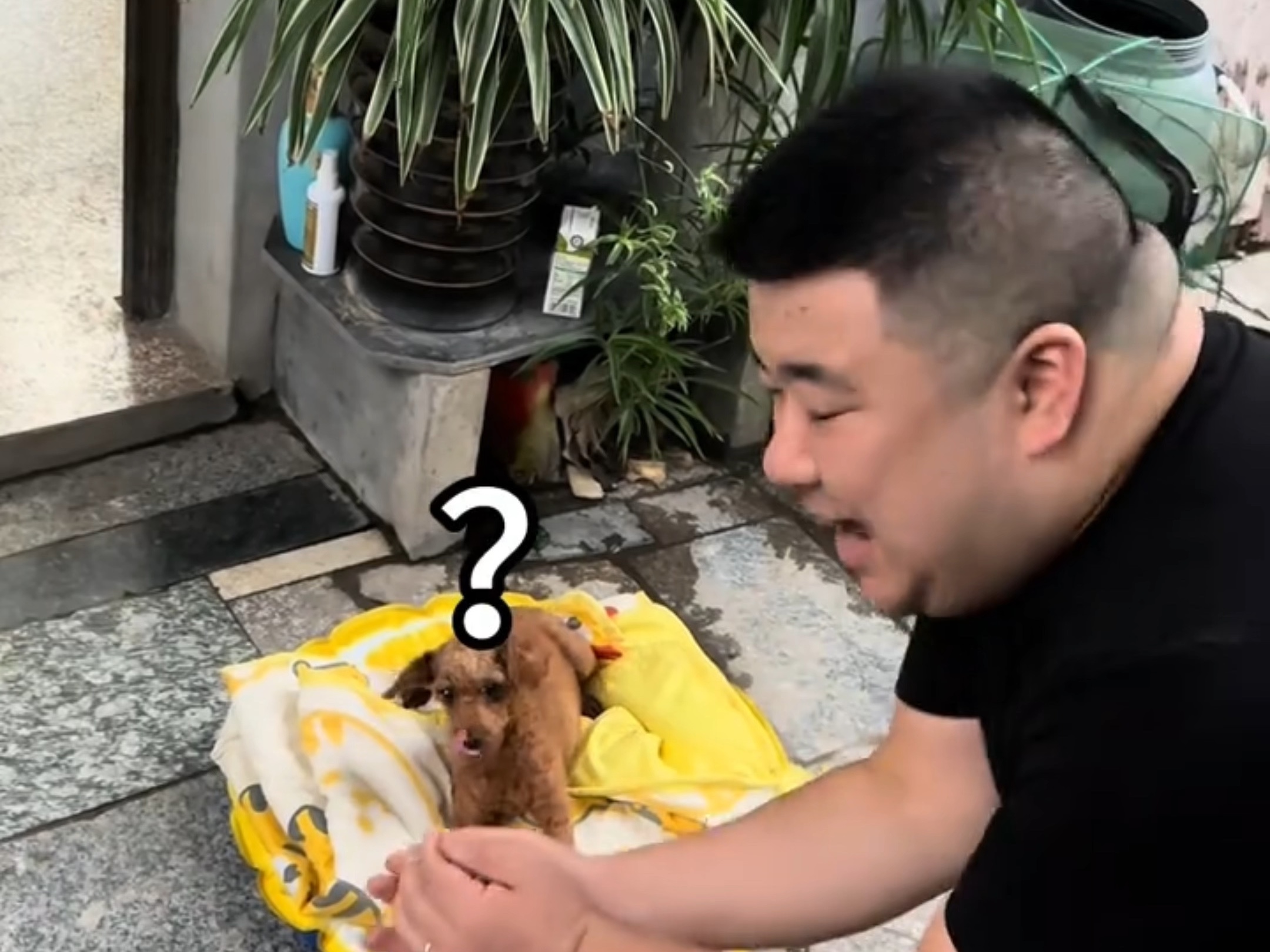 摸摸哥出名视频大全下载-(云南傈僳族小伙原视频下载网站)