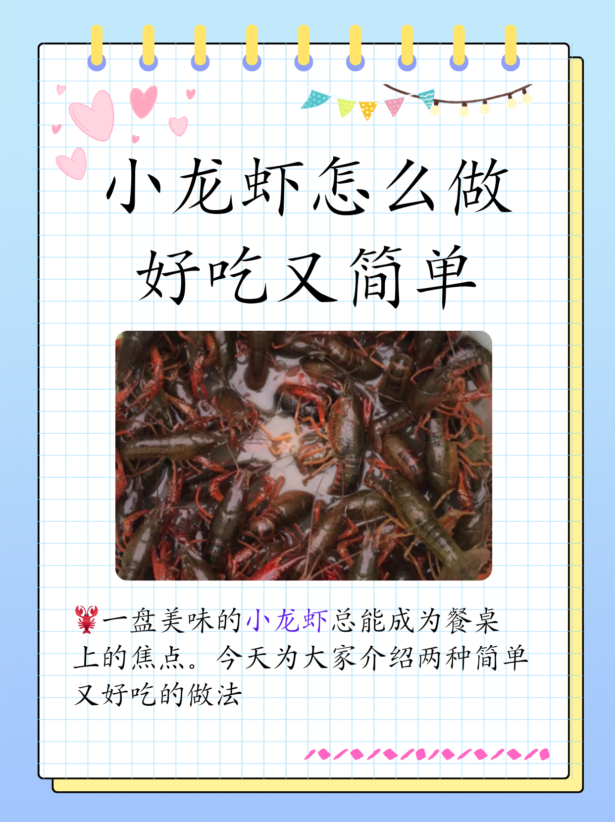 水产龙虾介绍视频大全下载(龙虾行情价格直通车中国水产网)